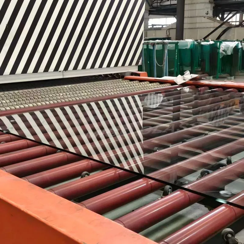 Standard Outdoor Full View Padel Court
